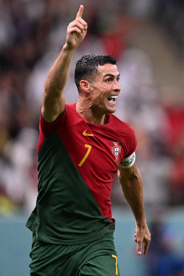 狼啸多伦多，VCT CN赛区播出的种子长成参天大树