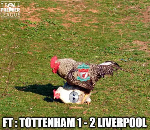 祝大家都有健康睡眠!《宝可梦Sleep》发布成人节贺图